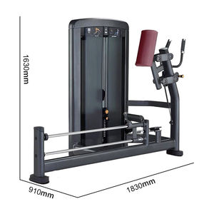 Banc d'entraînement abdominal de qualité professionnelle pour club de fitness, machine d'entraînement des muscles abdominaux - Product Image 2