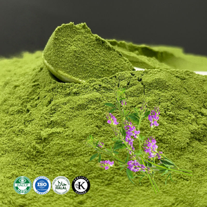 하이 퀄리티 200 메쉬 메디고 사티바 알팔파 분말 알팔파 잔디 분말 - Product Image 2