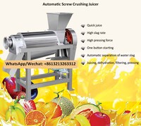 Mango Sap Extractie Machine Fruit Mango Sap Plant Oranje Ananas Mango Sap Productielijn