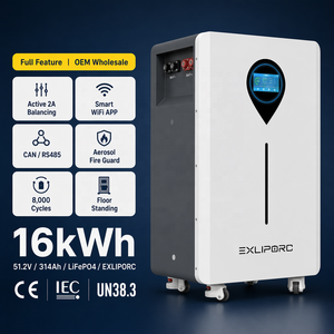 16kWh 51.2V 314Ah LiFePO4 <b>Battery</b> Pack 8000 Cycles Active Balancing 2A Built-in BMS Growatt Victron Solis Sofar OEM - Product Image 1