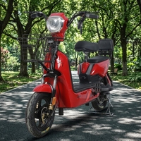 Scooter électrique à deux roues 2026, cyclomoteur, batterie au plomb-acide 48V, vélo électrique pour adultes et usage familial avec dossier passager