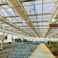 Grande serre agricole multi-chapelles de 12 m de large avec structure en acier galvanisé à chaud, verre trempé et couverture en polycarbonate intelligente
