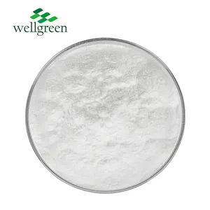 مستخلص الشاي الأخضر توريد Wellgreen CAS 3081-61-6 L-Theanine