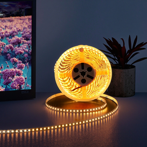 แถบไฟ <span class=keywords><strong>LED</strong></span> แบบยืดหยุ่นกำหนดเอง24V 12V IP20ในร่ม10สี3000K 4000K 6000K สีแดงสีเขียวน้ำเงินชมพูเหลืองฟ้าเขียว - Product Image 1