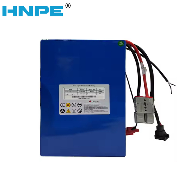HNPE 76.8V LiFePO4 Ebike Battery Charger 30Ah 2.5KWh 6000 Cycles
