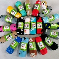 100 Pièces Livraison Gratuite En Stock Transfrontalier Pour Vente Chaude Yiran 12 Modèles Couverture Polaire Empreinte de Patte d'Animal Tapis pour Chat et Chien Vente en Gros