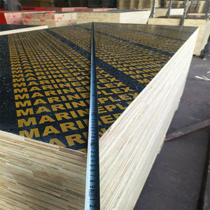 <span class=keywords><strong>Panneau</strong></span> de <span class=keywords><strong>contreplaqué</strong></span> phénolique à film noir imperméable de 8 mm, 9 mm, 10 mm d'épaisseur pour usage de construction - Product Image 1