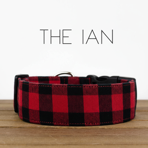 Le collier de chien Ian - Product Image 1