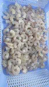 Vannamei Garnalenvlees // In Bulk Verpakte Bevroren Garnalen - Product Image 4