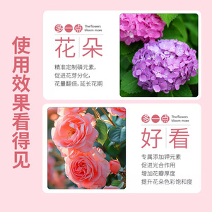 Poudre d'amélioration florale 200g Engrais pour plantes à floraison rapide pour fleurs - Product Image 1