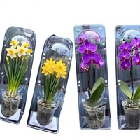 Barquettes en plastique transparentes écologiques personnalisées pour plantes, en PVC, PET, PS, pour le transport de graines, légumes et fleurs