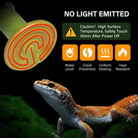 Lampe chauffante en céramique pour maison de volaille, lampe chauffante pour animaux, poussins, tortues, reptiles