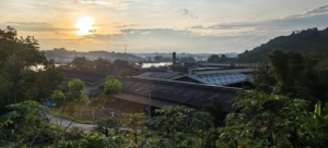 INDONESIA Panel de madera contrachapada Keruing suave y duradero para carpintería profesional y diseño de muebles personalizados - Product Image 5