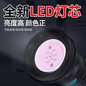 ไฟแสดงสถานะ Tengen รุ่น TGAD1-22DFE 380V AC/DC สีแดง LED IP65 ทนทาน - Product Image 5