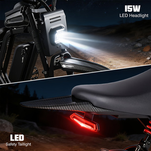 Offroad-Elektrofahrrad mit Fettreifen, 20x4.0, 749W, 55 Meilen Reichweite, für Erwachsene, Elektro-Dirtbike für Bergwege und Sand, US-Lagerbestand verfügbar - Product Image 5