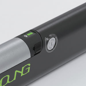 Nouvelle batterie pour vélo électrique 48V SAN YANG II 48V 7.8Ah 8.7Ah 10.5Ah, style tube interne, pour vélo électrique Ultra Bee - Product Image 4