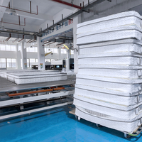 Matelas gonflable en latex à ressorts ensachés King Size de haute qualité, compressé sous vide, à bon prix, pour chambre à coucher