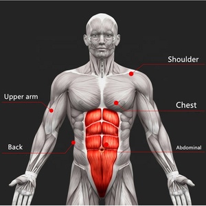 Equipo de gimnasio con logotipo personalizado, estera de rodilla para ejercicio, Fitness Abdominal, Wonder Sports, doble rueda <span class=keywords><strong>Ab</strong></span>, OEM, gran oferta - Product Image 6