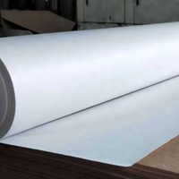 Papier Bond Biodégradable Blanc/Bleu 80GSM pour la Conception CAD de Vêtements et les Dessins Techniques
