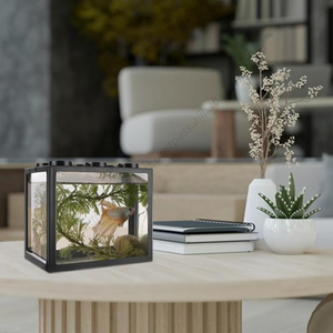 Mini peces ecológicos al por mayor con iluminación LED USB, transparentes, de plástico, pequeños, para exhibición en oficinas - Product Image 3