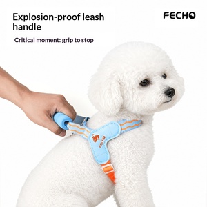 Farbenfrohes Haustier-Leinen-Geschirr-Set Lebendiger Hunde-Brustgurt Tragbar Einfach zu Tragen Sattelstil - Product Image 3