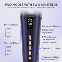 Sèche-cheveux et lisseur ionique céramique électrique LED 110000 tr/min Salon 2026 avec boucleur d'air multi-styleur
