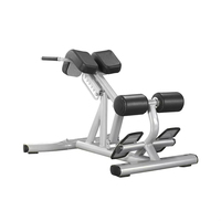 Équipement commercial de gymnastique réglable assis chaise romaine machine d'extension de dos équipement de musculation professionnel