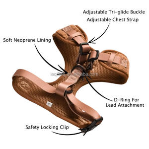 הטוב ביותר חם למכור צבע מותאם אישית הדפס leopard אופנה נושם כלב מתכוונן רצועה רצועה צווארון 2026 - Product Image 3