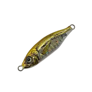 LF232-LEAD poisson 20g/30g/40g/60g Simulation impression gabarits de pêche holographique eau salée plomb jigging leurres appâts durs artificiels