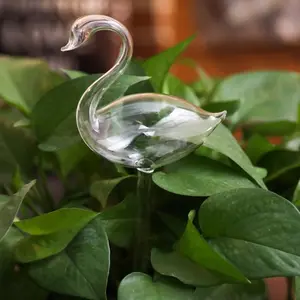 Globi di irrigazione in vetro soffiato a mano autosufficienti per piante da interno ed esterno realizzate con materiali sani e rispettosi delle piante