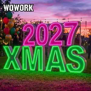 WOWORK Lampadina LED 3D Gigante Personalizzata 2ft 4ft 5ft con Scritta 'Will You Marry Me' per Compleanni e Matrimoni - Product Image 2