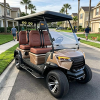 Voiturette de golf électrique anti-usure, stable et performante, pour villas, complexes hôteliers et visites touristiques sur routes non publiques, homologuée DOT CE EEC
