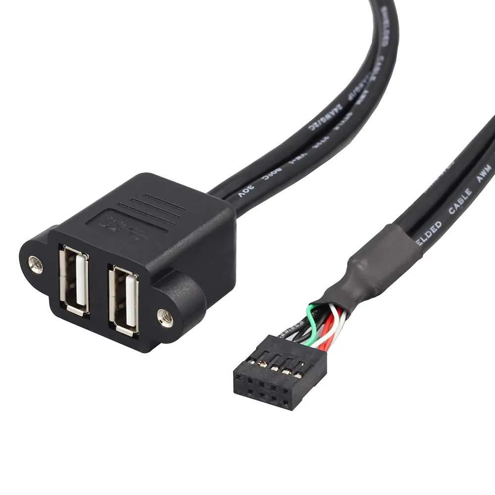 Dupont 9 broches vers 2 USB 2.0 femelle avec verrouillage à vis Câble USB pour boîtier d'ordinateur et montage sur panneau