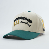 Gorra de béisbol ajustable Gorra de béisbol de dos tonos Lisa Sombrero deportivo de 5 paneles Gorra de béisbol con letras bordadas en 3D