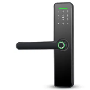 Serrure de porte intelligente extérieure étanche, haute sécurité, empreinte digitale numérique électrique Tuya APP TTLOCK Wifi Mobile