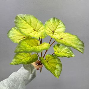 Plante Artificielle Verte Meng Jie 30cm-100cm Feuillage pour Décoration Intérieure Plantes d'Intérieur Base Florale - Product Image 2