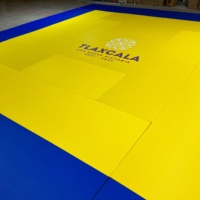 Tapis de judo en toile haute densité pour l'entraînement au karaté, imperméables, tapis de BJJ et de judo