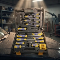Jeu de tournevis multifonction 43 pièces avec embouts magnétiques Phillips et plats pour l'entretien domestique et automobile, moulé par soufflage