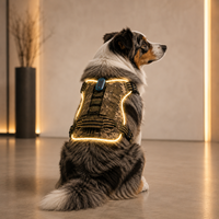 Harnais pour chien réfléchissant Qcool avec LED, collier GPS, laisse en nylon durable, style camouflage, équipement pour animaux de compagnie, ensemble d'accessoires pour animaux de compagnie
