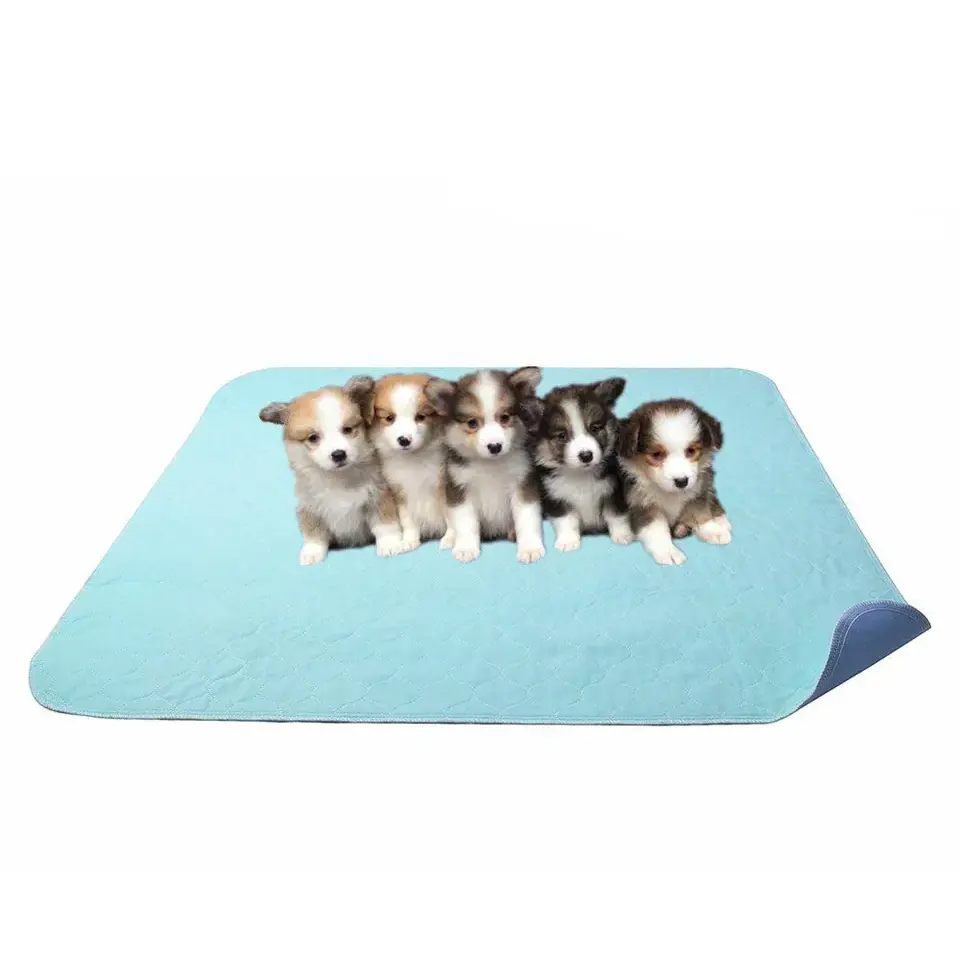 Custom Super Absorbent Puppy Training Pad Tray Washable Pee Wee Bulk Puppy Pads Dog Cat Pee Pad