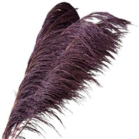 Rumput Pampas Besar Ekstra Lembut, Harga Pabrik, Terlaris, Alami, Kering, Buatan Tangan, Gaya Boho, Dekorasi Rumah untuk Hari Valentine