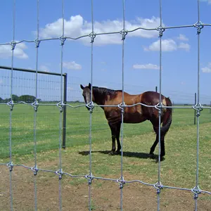 Özelleştirme sıcak daldırma galvanizli menteşe ortak alan mera çit geyik sabit düğüm dikenli tel at veya keçi için