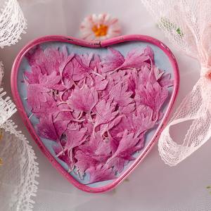 Petali di <span class=keywords><strong>fiordaliso</strong></span> fiore epossidico essiccato custodia materiale del telefono cellulare pacchetto fiore pressato - Product Image 2