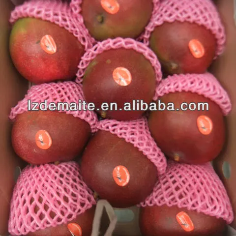 Mango Packs chaum Netting Obst Gemüse Verpackung Netz abdeckung