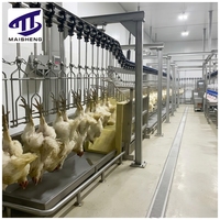 Équipement d'abattage de volailles automatique à moteur MSMT, construction en acier inoxydable, haute capacité, traitement du poulet