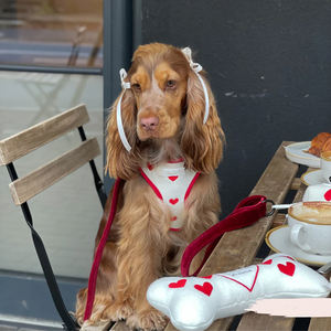 Set Harness Anjing Sherpa Pet Luxury Lamb Ukuran Kecil, Rompi Hangat Warna Solid, Logo Kustom, Aksesoris Hewan Peliharaan untuk Anjing dan Kucing - Product Image 6