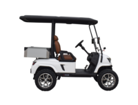 Voiturette de golf tout-terrain électrique 48V à 2 places, batterie lithium haute performance, produit chinois
