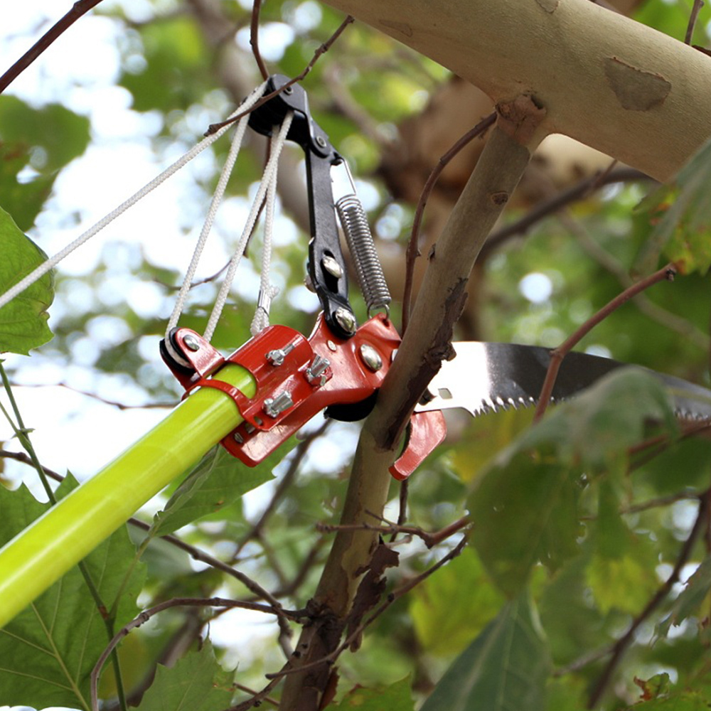Homion Telescopic Garden Lopper – Extendable Tree Pruner With 30cm Carbon Steel Saw, Reaches Up To 2.9m (Orange)