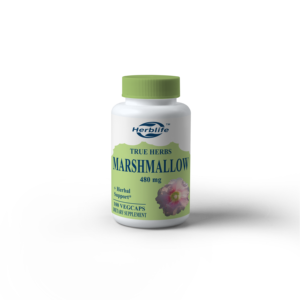 OEM/ODM Venta caliente cápsulas de raíz de malvavisco 480 mg-Soporte de hierbas raíz de malvavisco-Alto en fibra soluble de mucílago, Vegano - Product Image 1