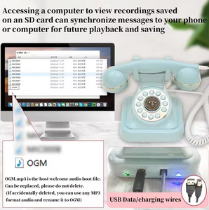 Antique Custom Made Audio Book Recorder Téléphone sans fil <span class=keywords><strong>fixe</strong></span> pour les réunions d'information des invités de décorations de mariage-Expédition rapide - Product Image 5